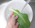 チンゲン菜を洗う